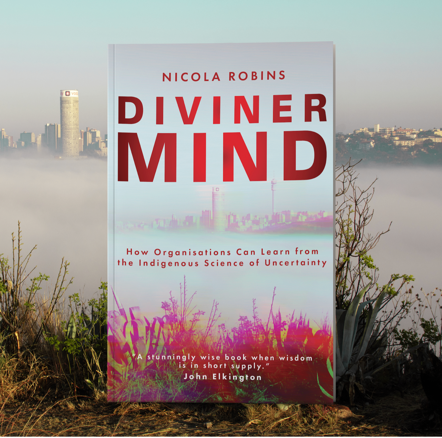 Diviner Mind by Nicola Robins — book cover